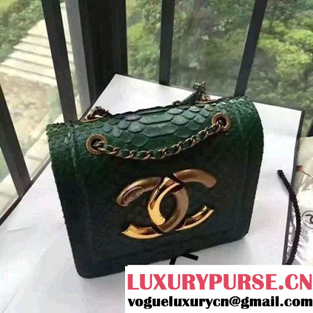 Chanel Small Python, Calfskin & Gold Metal Bronze Flap Bag Green F/W 2016 (YUN-6091805 )