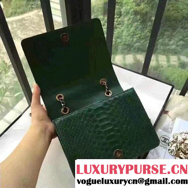 Chanel Small Python, Calfskin & Gold Metal Bronze Flap Bag Green F/W 2016 (YUN-6091805 )