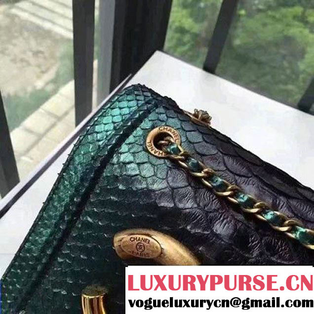 Chanel Small Python, Calfskin & Gold Metal Bronze Flap Bag Green/Black F/W 2016 (YUN-6091808 )