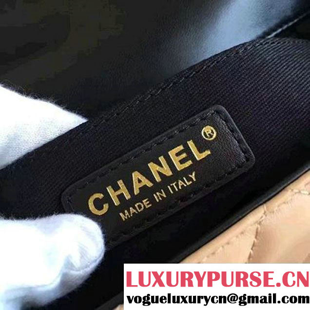 Chanel Lambskin alfskin Small Elegant CC Flap Bag A91365 Apricot/Black 2016 (KN-6101720 )