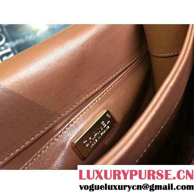 Chanel Python Leather Chain Braided Chic Flap Bag A98774 Camel 2017 (1A111-7041105 )