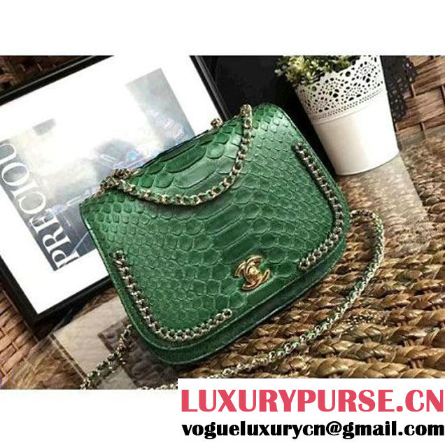 Chanel Python Leather Chain Braided Chic Medium Flap Bag A98774 Green 2017 (1A111-7041107 )