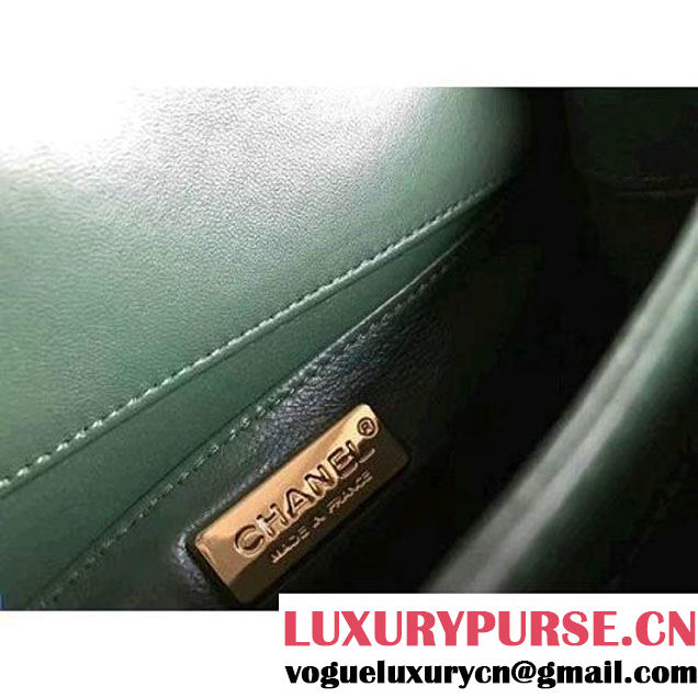 Chanel Python Leather Chain Braided Chic Medium Flap Bag A98774 Green 2017 (1A111-7041107 )
