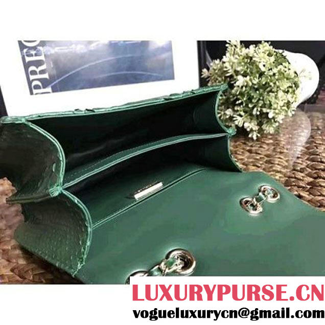 Chanel Python Leather Chain Braided Chic Medium Flap Bag A98774 Green 2017 (1A111-7041107 )