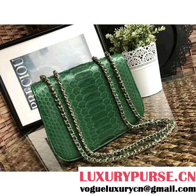Chanel Python Leather Chain Braided Chic Medium Flap Bag A98774 Green 2017 (1A111-7041107 )