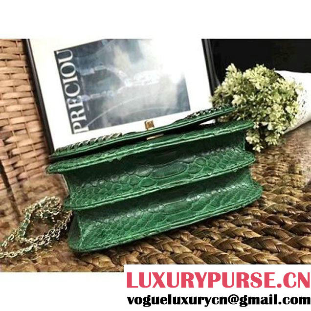 Chanel Python Leather Chain Braided Chic Medium Flap Bag A98774 Green 2017 (1A111-7041107 )