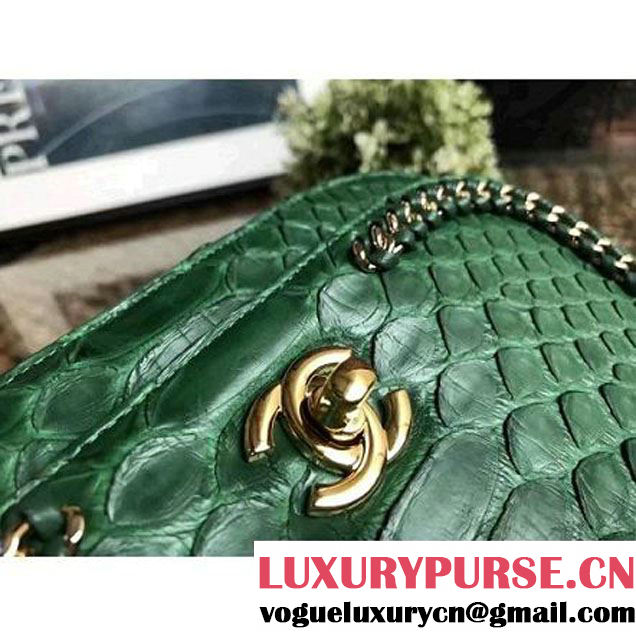Chanel Python Leather Chain Braided Chic Medium Flap Bag A98774 Green 2017 (1A111-7041107 )