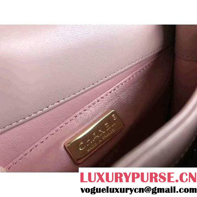Chanel Python Leather Chain Braided Chic Medium Flap Bag A98774 Light Pink 2017 (1A111-7041108 )