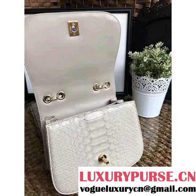 Chanel Python Leather Chain Braided Chic Medium Flap Bag A98774 Off-White 2017 (1A111-7041109 )