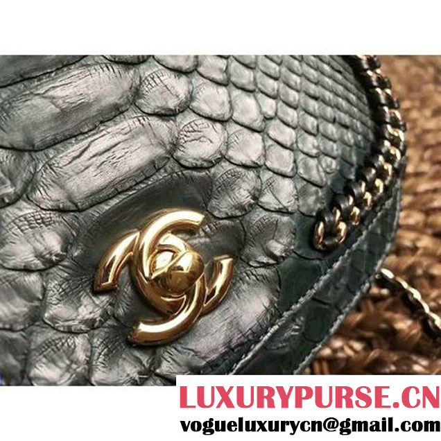 Chanel Python Leather Chain Braided Chic Medium Flap Bag A98774 Dark Green 2017 (1A111-7041110 )