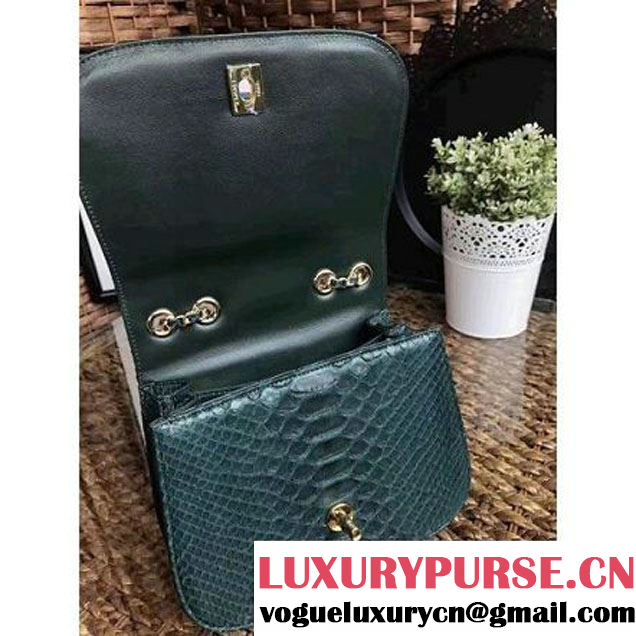 Chanel Python Leather Chain Braided Chic Medium Flap Bag A98774 Dark Green 2017 (1A111-7041110 )