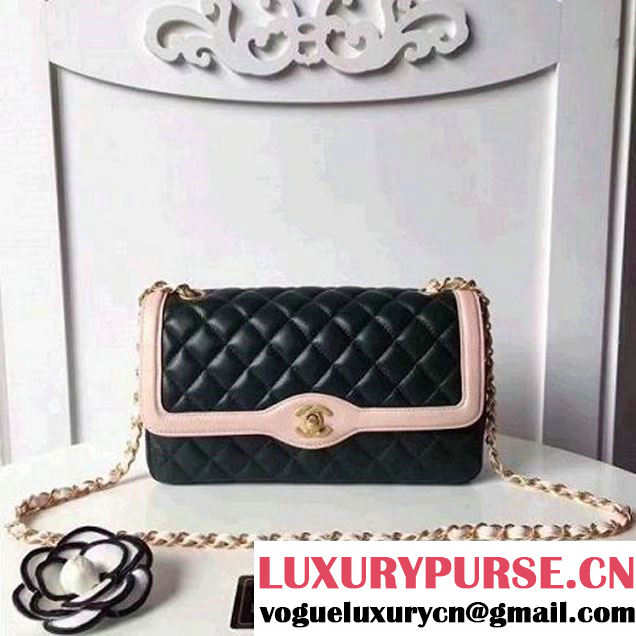 Chanel Two-Tone Lambskin Flap Large Bag A91022 Green/Pink 2017 (1A145-7042704 )