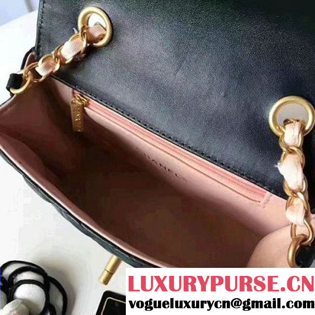 Chanel Two-Tone Lambskin Flap Small Bag A91057 Green/Pink 2017 (1A145-7042710 )