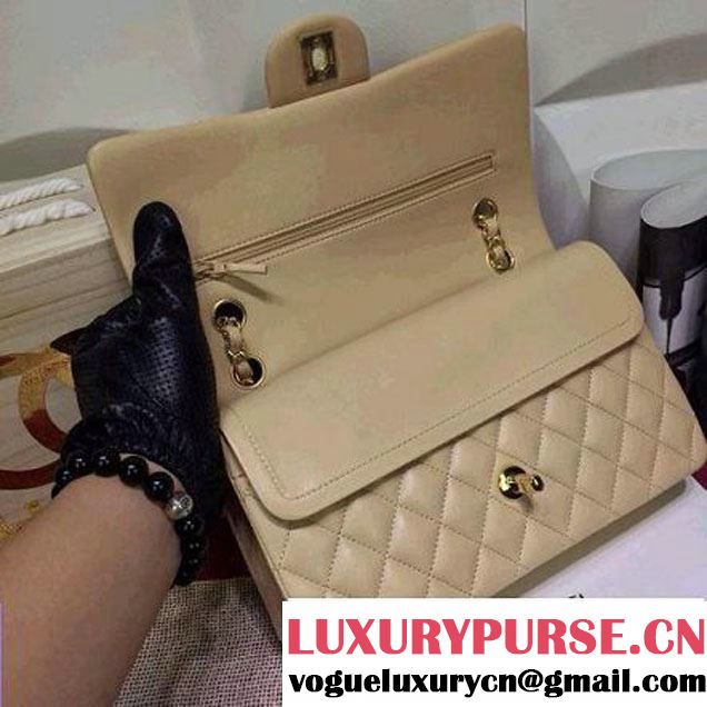 Chanel Lambskin Leather Classic Double Flap Bag In Beige (1a022-4003 )