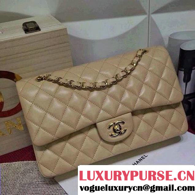 Chanel Lambskin Leather Classic Double Flap Bag In Beige (1a022-4003 )
