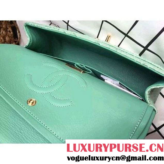 Chanel Medium Python Leather Classic Double Flap Bag Green (1a086-070113 )