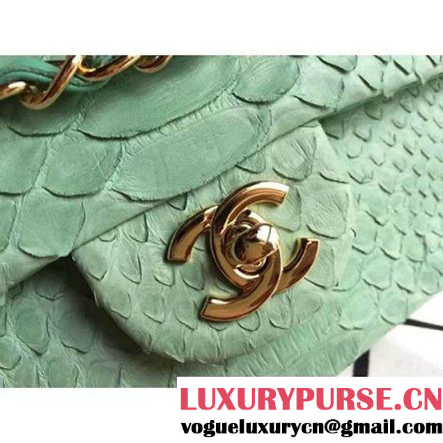 Chanel Medium Python Leather Classic Double Flap Bag Green (1a086-070113 )