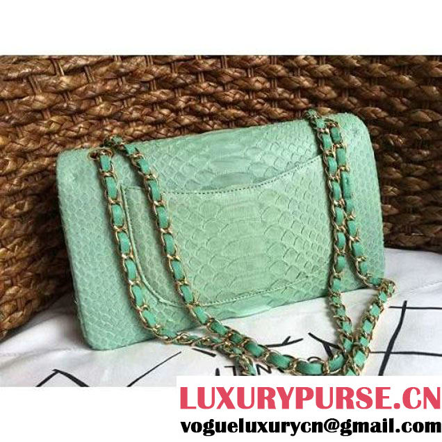 Chanel Medium Python Leather Classic Double Flap Bag Green (1a086-070113 )