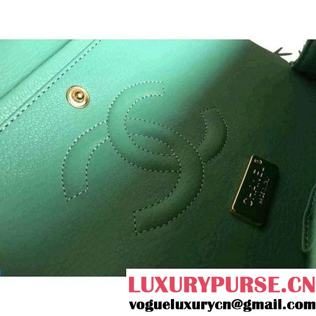 Chanel Medium Python Leather Classic Double Flap Bag Green (1a086-070113 )