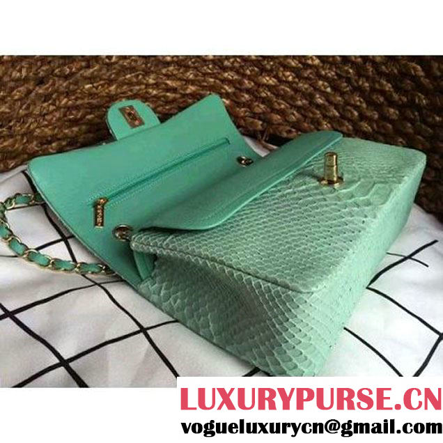 Chanel Medium Python Leather Classic Double Flap Bag Green (1a086-070113 )