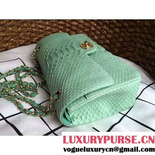 Chanel Medium Python Leather Classic Double Flap Bag Green (1a086-070113 )