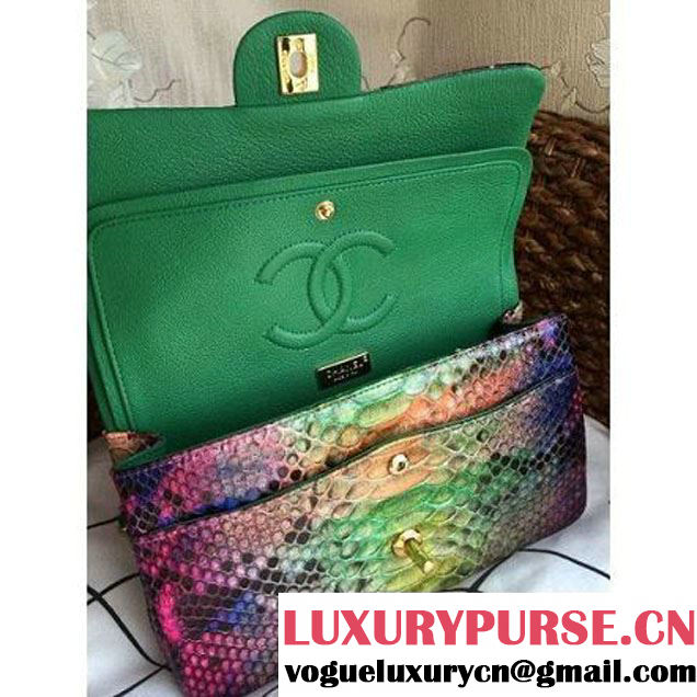 Chanel Medium Python Leather Classic Double Flap Bag in Multicolor/Green (1a086-101445 )
