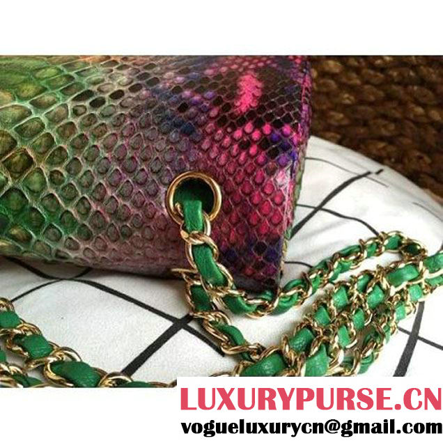 Chanel Medium Python Leather Classic Double Flap Bag in Multicolor/Green (1a086-101445 )