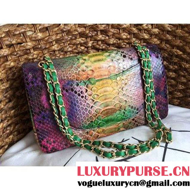 Chanel Medium Python Leather Classic Double Flap Bag in Multicolor/Green (1a086-101445 )
