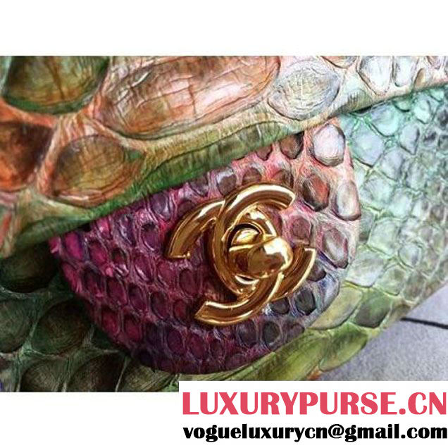 Chanel Medium Python Leather Classic Double Flap Bag in Multicolor/Green (1a086-101445 )