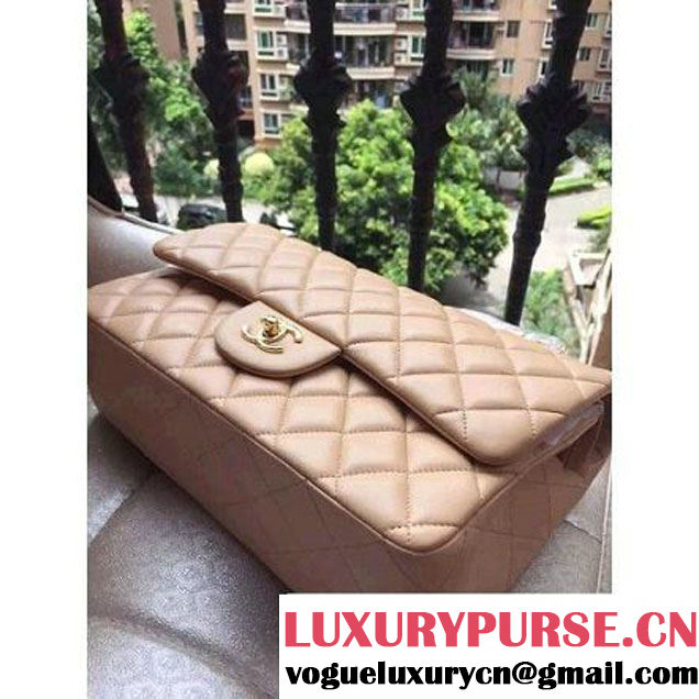 Chanel Jumbo 1113 Lambskin Classic Double Flap Bag Apricot(GHW) (H-122233 )