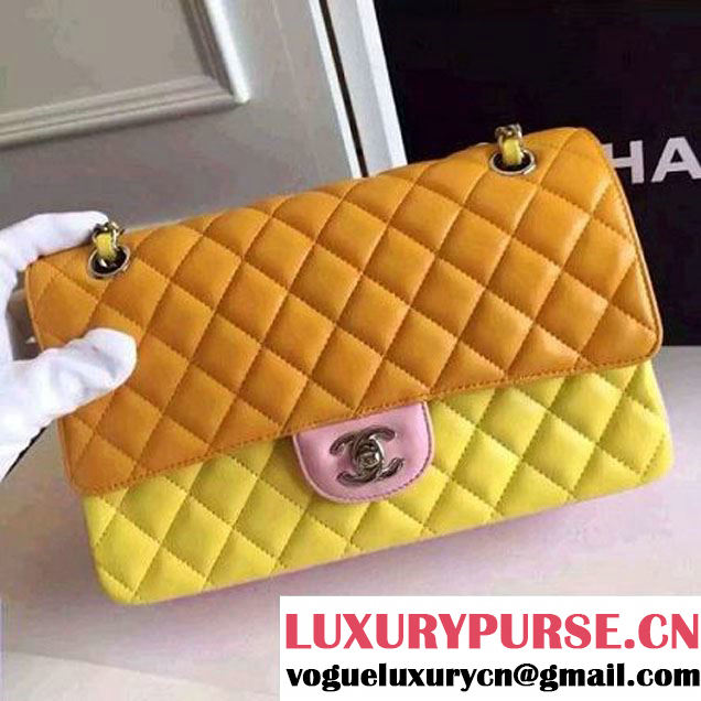 Chanel Medium Lambskin Muticolor Classic Flap Bag  (FTH-6052501 )