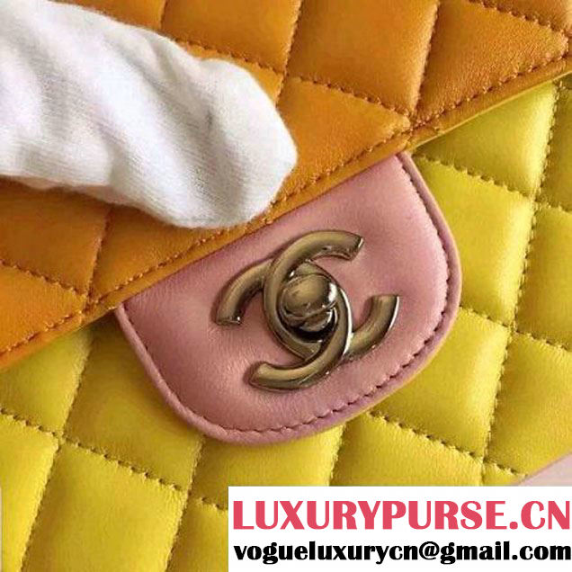 Chanel Medium Lambskin Muticolor Classic Flap Bag  (FTH-6052501 )