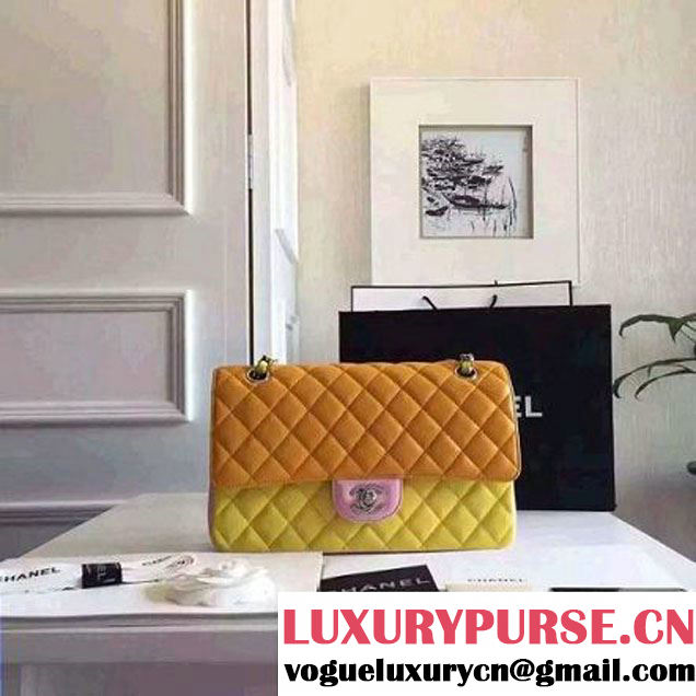 Chanel Medium Lambskin Muticolor Classic Flap Bag  (FTH-6052501 )