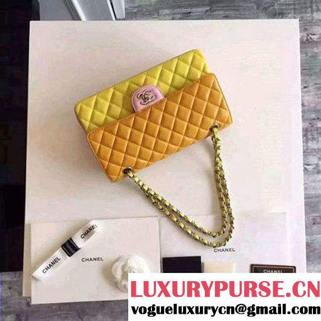 Chanel Medium Lambskin Muticolor Classic Flap Bag  (FTH-6052501 )