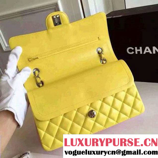 Chanel Medium Lambskin Muticolor Classic Flap Bag  (FTH-6052501 )