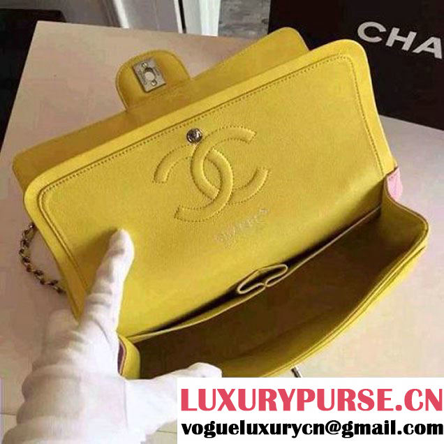 Chanel Medium Lambskin Muticolor Classic Flap Bag  (FTH-6052501 )