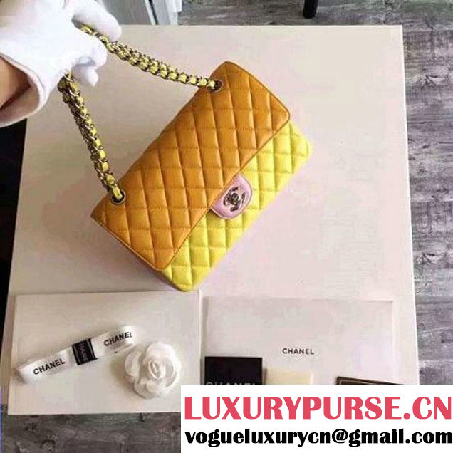 Chanel Medium Lambskin Muticolor Classic Flap Bag  (FTH-6052501 )