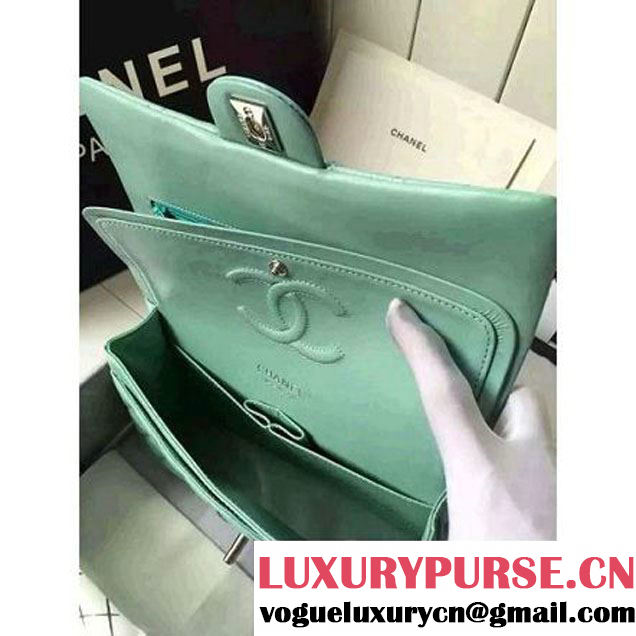 Chanel Medium Classic Flap Bag In Rosy Patent Calfskin Light Green (FTH-6061318 )