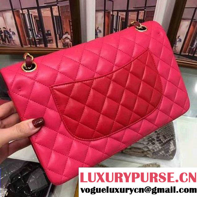 Chanel Multicolor Lambskin Medium Classic Double Flap Bag Rosy/Burgundy/Red (AV-7112202 )