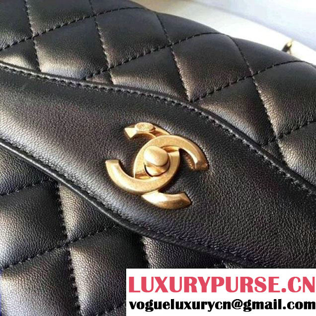 Chanel Rosewood Lambskin Medium Flap Bag A57028 Black 2018 (XXY-7121126 )