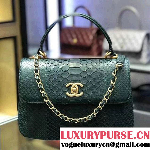 Chanel Small Trendy CC Flap Bag With Top Handle In Python Leather Green 2018 (1A11-8011216 )