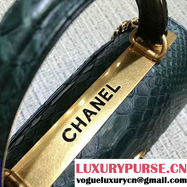 Chanel Small Trendy CC Flap Bag With Top Handle In Python Leather Green 2018 (1A11-8011216 )