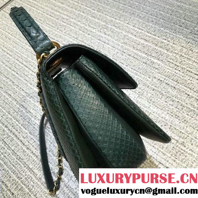 Chanel Small Trendy CC Flap Bag With Top Handle In Python Leather Green 2018 (1A11-8011216 )