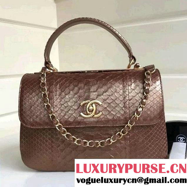 Chanel Small Trendy CC Flap Bag With Top Handle In Python Leather Brown 2018 (1A111-8011215 )