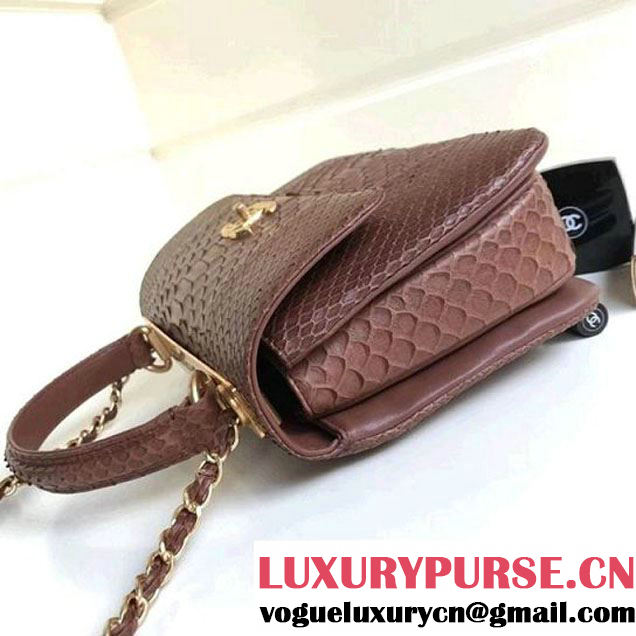 Chanel Small Trendy CC Flap Bag With Top Handle In Python Leather Brown 2018 (1A111-8011215 )