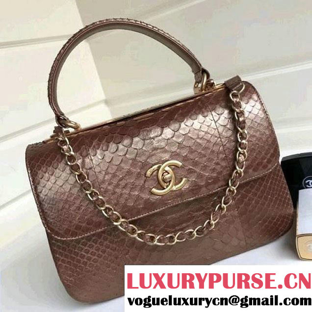 Chanel Small Trendy CC Flap Bag With Top Handle In Python Leather Brown 2018 (1A111-8011215 )