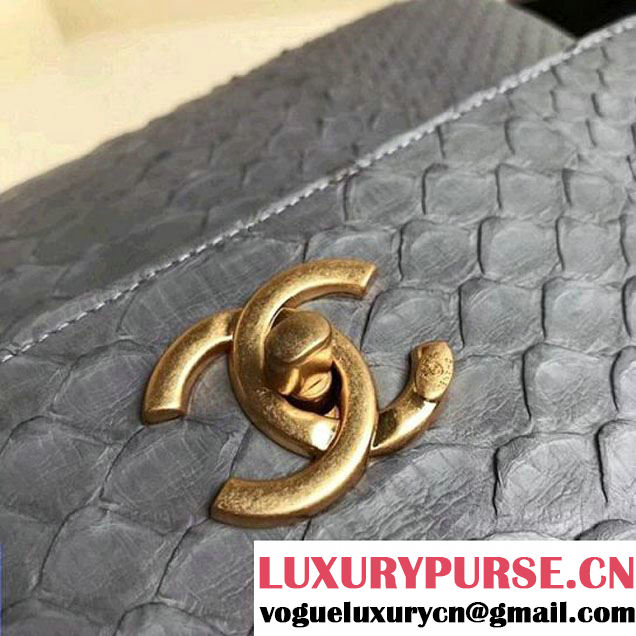 Chanel Small Trendy CC Flap Bag With Top Handle In Python Leather Powder Blue2018 (1A111-8011213 )