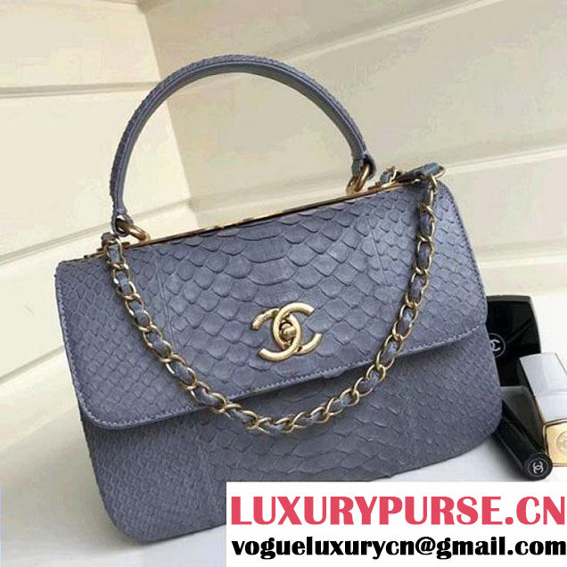 Chanel Small Trendy CC Flap Bag With Top Handle In Python Leather Powder Blue2018 (1A111-8011213 )