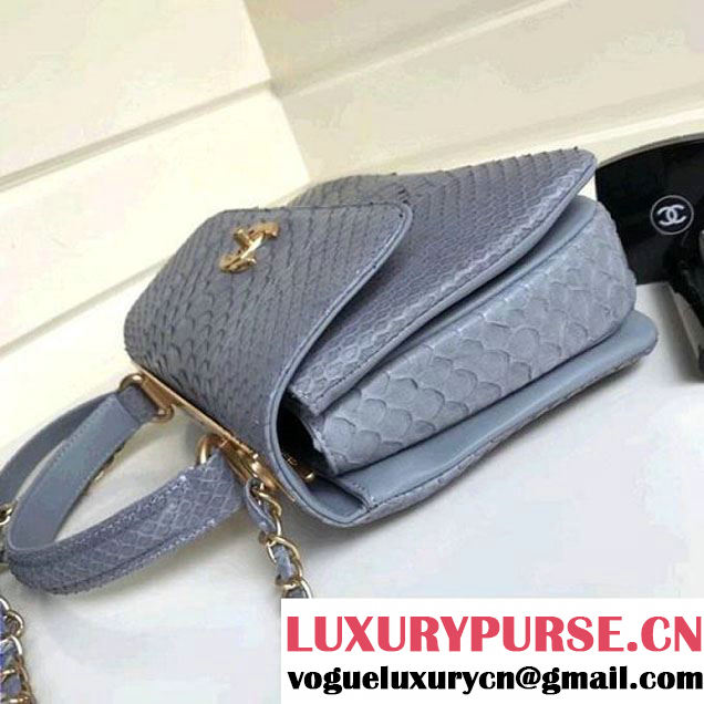 Chanel Small Trendy CC Flap Bag With Top Handle In Python Leather Powder Blue2018 (1A111-8011213 )