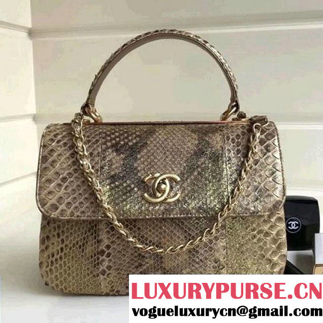 Chanel Small Trendy CC Flap Bag With Top Handle In Python Leather Gold 2018 (1A111-8011210 )